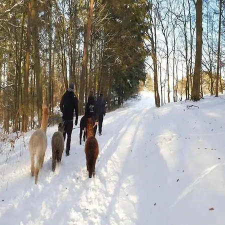 In Hessen Mit Grossem Garten * Buchenberg (Hessen)