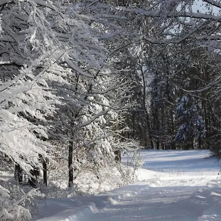 펜션 In Hessen Mit Grossem Garten *