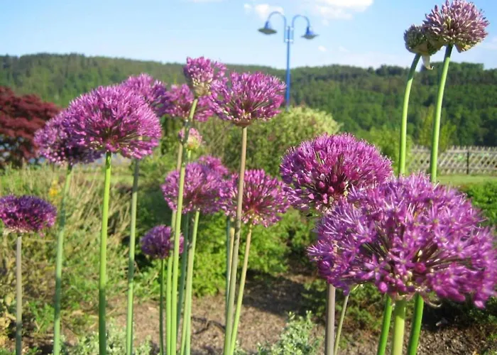 In Hessen Mit Grossem Garten Holiday home *