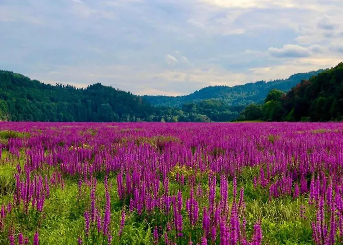 Holiday home In Hessen Mit Grossem Garten Buchenberg (Hessen)