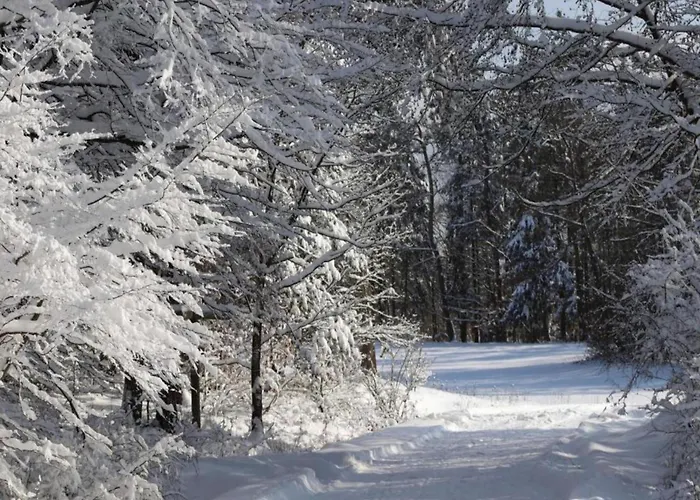 Holiday home In Hessen Mit Grossem Garten *